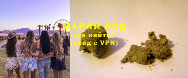 прущие грибы Абаза