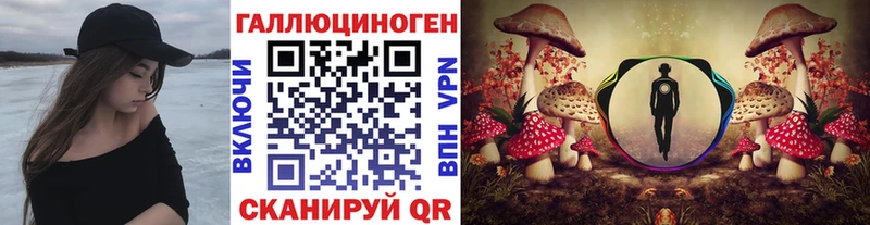 Галлюциногенные грибы Magic Shrooms  Сольвычегодск 